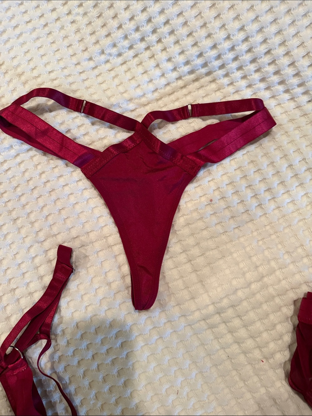Strappy Lace-Up Bra, Thong & Garter Set in Burgundy - Picture 3 of 8